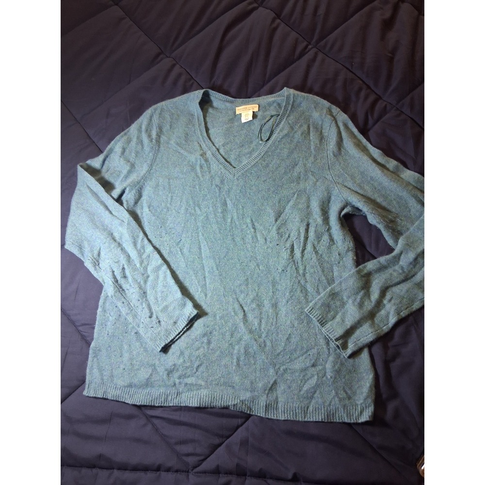 Adrienne Vittadini Womens XL Blue 100% 2-Ply Cashmere V-Neck Pullover Sweater